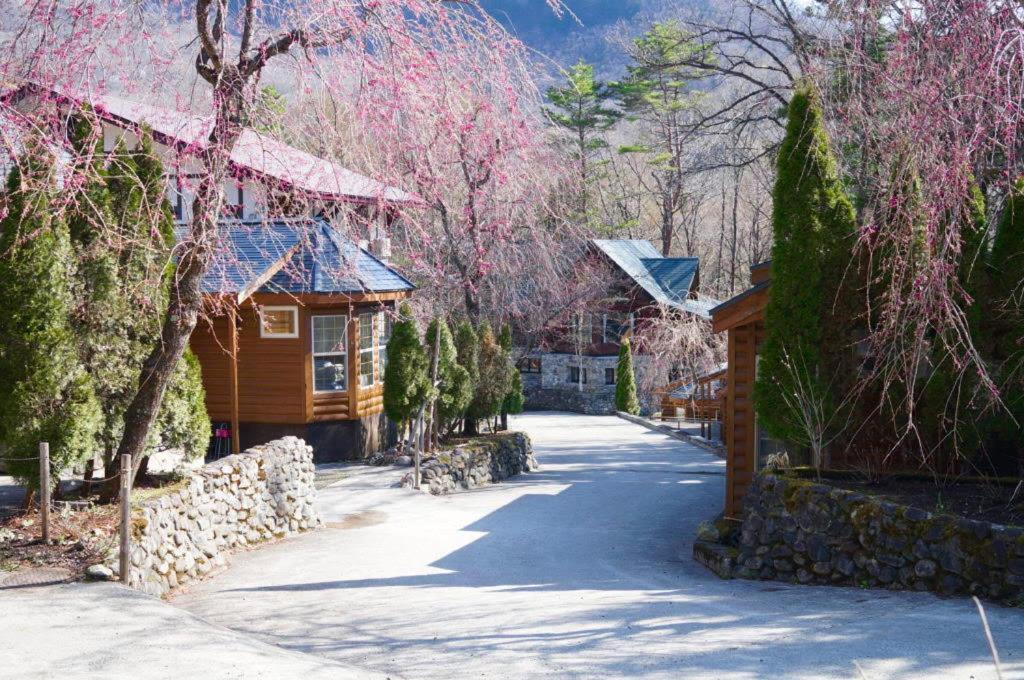 Hakuba Canadian Lodge Exteriör bild