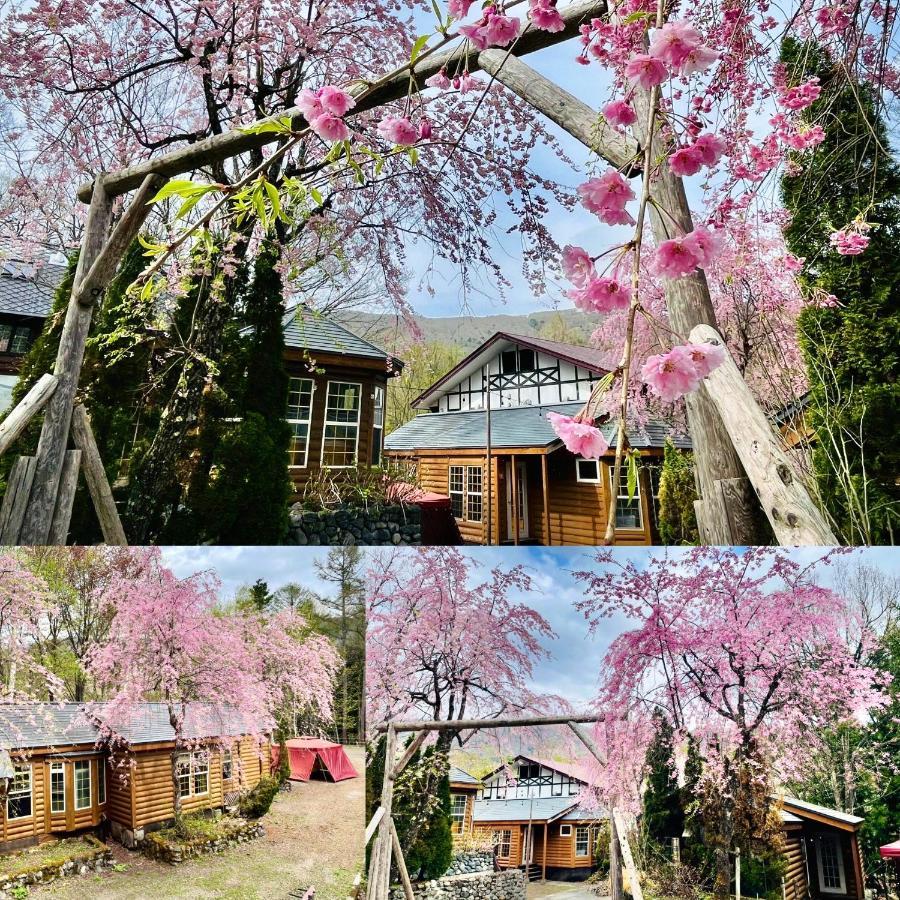 Hakuba Canadian Lodge Exteriör bild